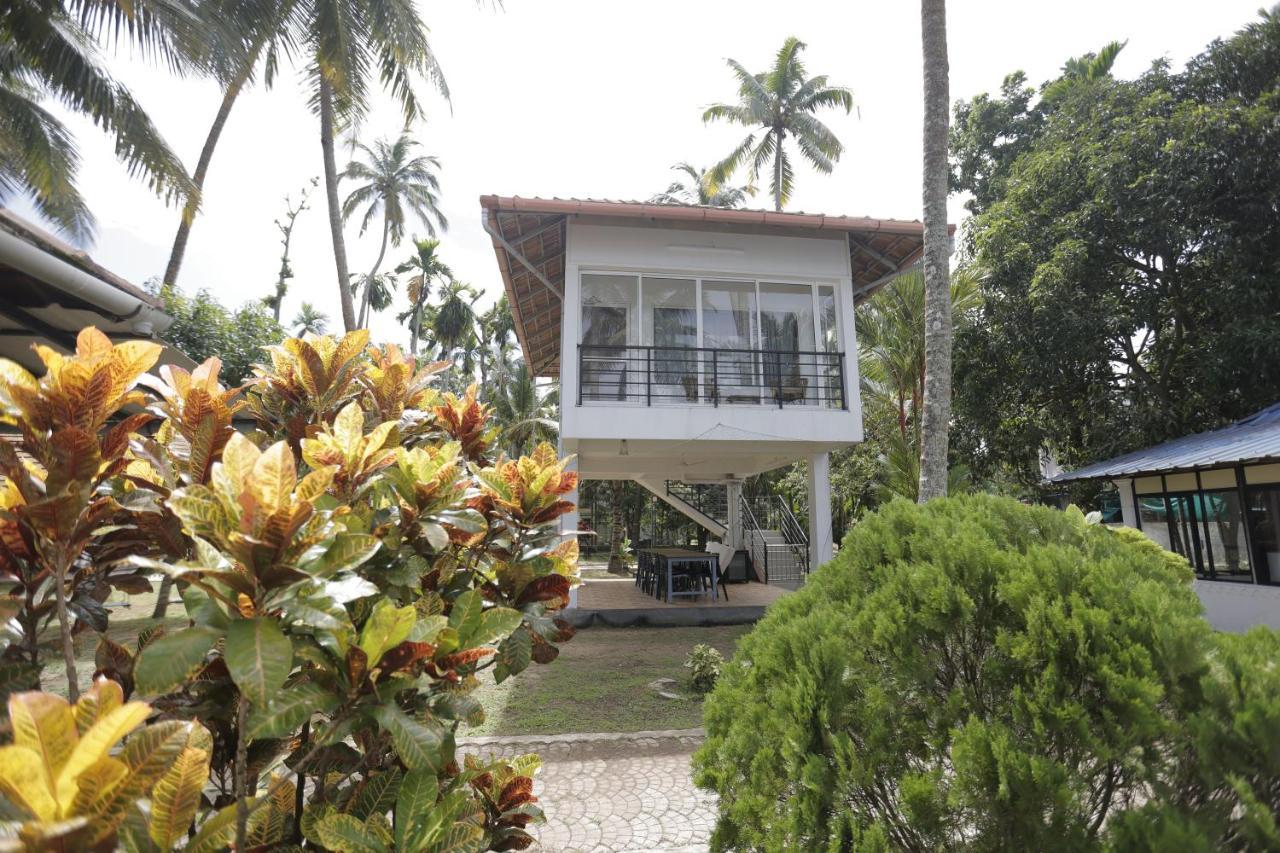 Kallanchery Retreat Kochi Bagian luar foto